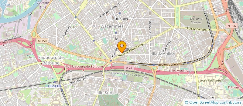 localisation de l'entreprise MADAME JULIE DE GOUY à LILLE