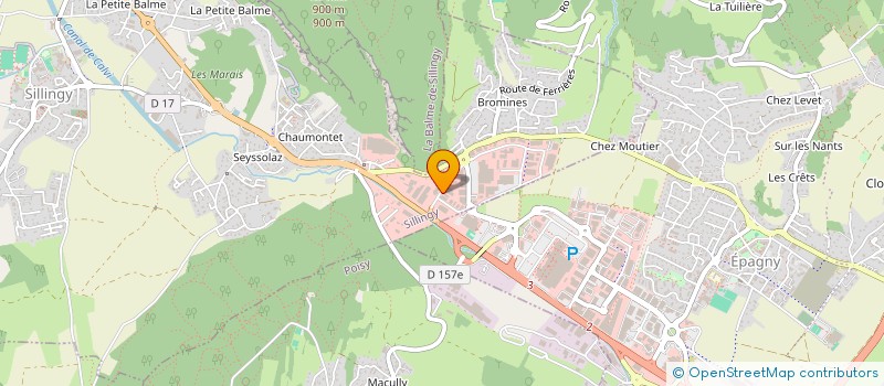 localisation de l'entreprise MADAME JULIE DELESVAUX  SILLINGY