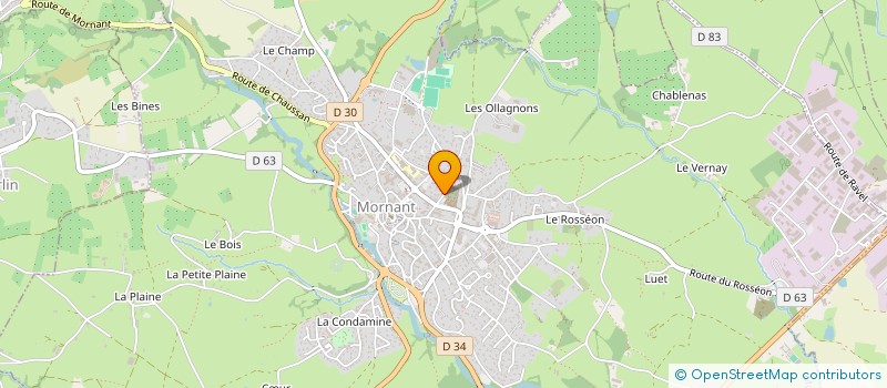 localisation de l'entreprise MADAME JULIE DELMAS  MORNANT