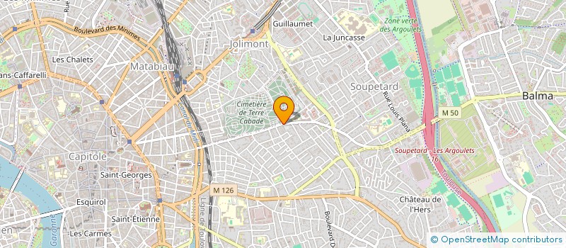 localisation de l'entreprise MADAME JULIE DOCTEUR  TOULOUSE