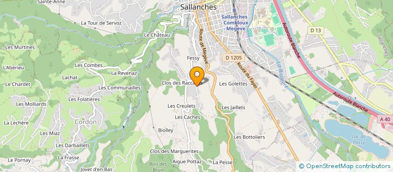 localisation de l'entreprise MADAME JULIE DUBOURVIEUX  SALLANCHES