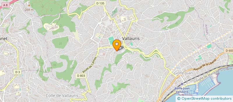 localisation de l'entreprise MADAME JULIE JACQUET à VALLAURIS