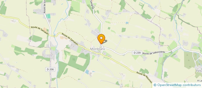 localisation de l'entreprise MADAME JULIE LARRIEU  MONBLANC