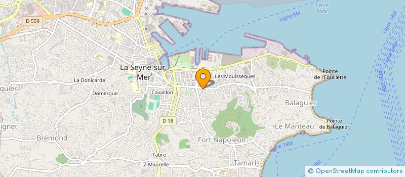 localisation de l'entreprise MADAME JULIE LEPETIT à SAINT-MANDRIER-SUR-MER