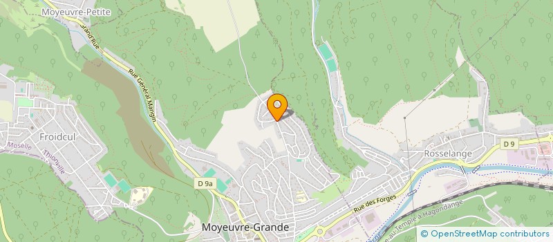 localisation de l'entreprise MADAME JULIE LETELLIER  MOYEUVRE-GRANDE