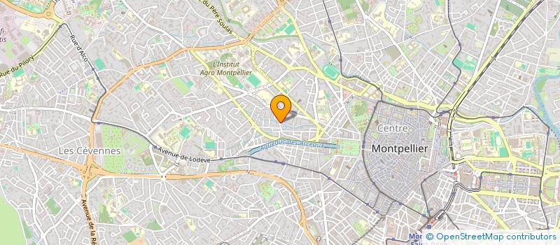 localisation de l'entreprise MADAME JULIE LITOVSKY à MONTPELLIER