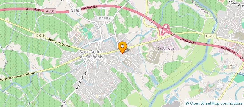 localisation de l'entreprise MADAME JULIE MARTIN  SAINT-ANDRE-DE-SANGONIS