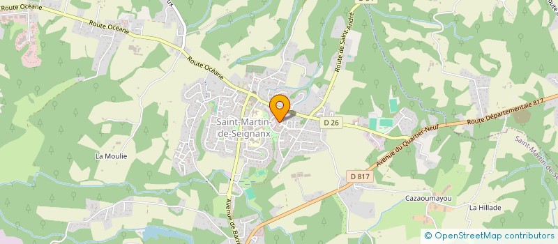 localisation de l'entreprise MADAME JULIE NEFF  SAINT-MARTIN-DE-SEIGNANX