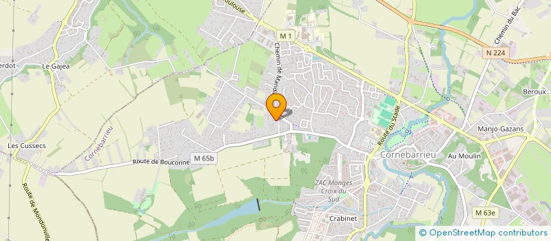 localisation de l'entreprise MADAME JULIE NIGER  CORNEBARRIEU