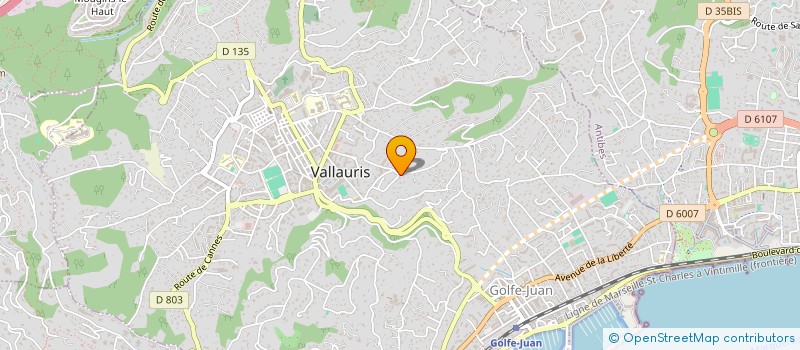 localisation de l'entreprise MADAME JULIE NIVOIT à VALLAURIS