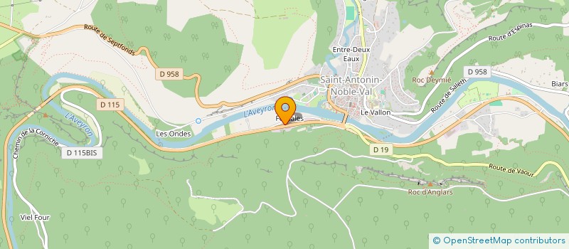 localisation de l'entreprise MADAME JULIE PAUCOT  SAINT ANTONIN NOBLE VAL