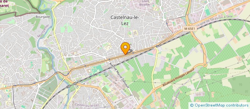 localisation de l'entreprise MADAME JULIE PAVIC à CASTELNAU-LE-LEZ
