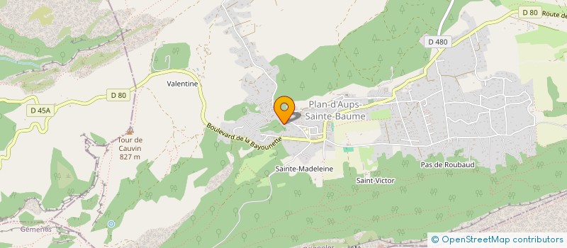 localisation de l'entreprise MADAME JULIE PIANCA  PLAN-D'AUPS-SAINTE-BAUME