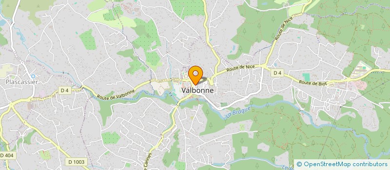 localisation de l'entreprise MADAME JULIE PISALINI  VALBONNE