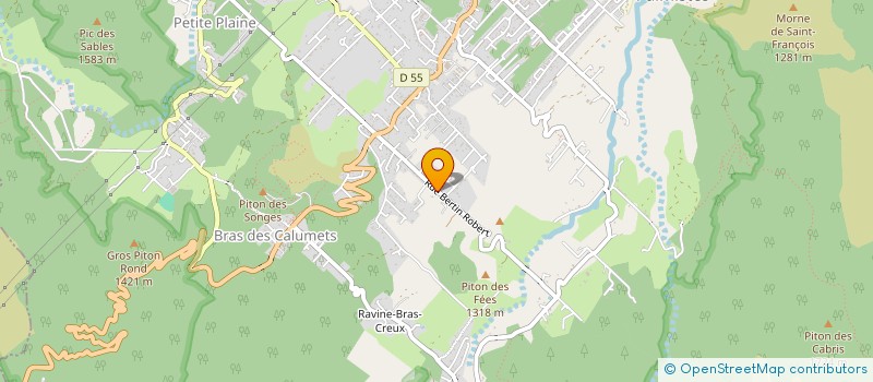localisation de l'entreprise MADAME JULIE RINECARABE à LA PLAINE-DES-PALMISTES