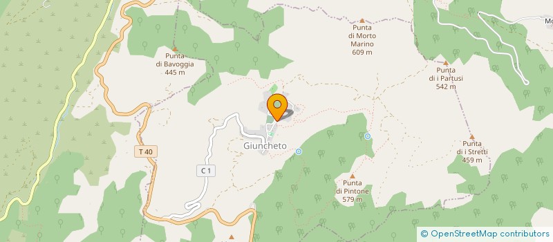 localisation de l'entreprise MADAME JULIE ROE à GIUNCHETO