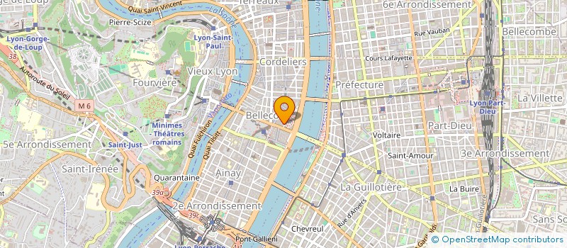 localisation de l'entreprise MADAME JULIE ROUSSEL  LYON