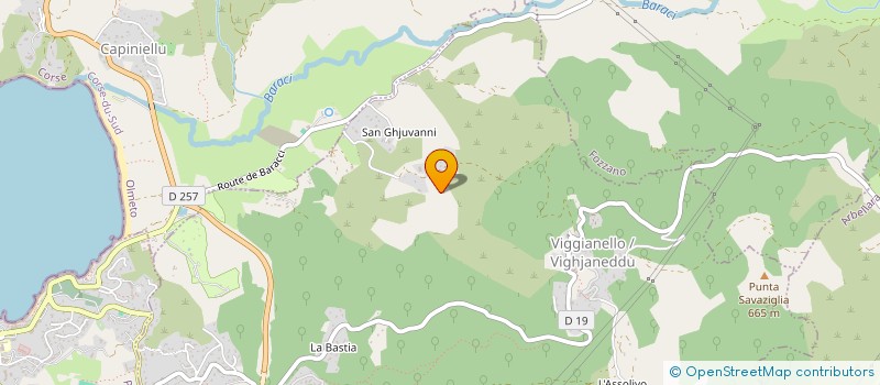 localisation de l'entreprise MADAME JULIE SCHULER  VIGGIANELLO