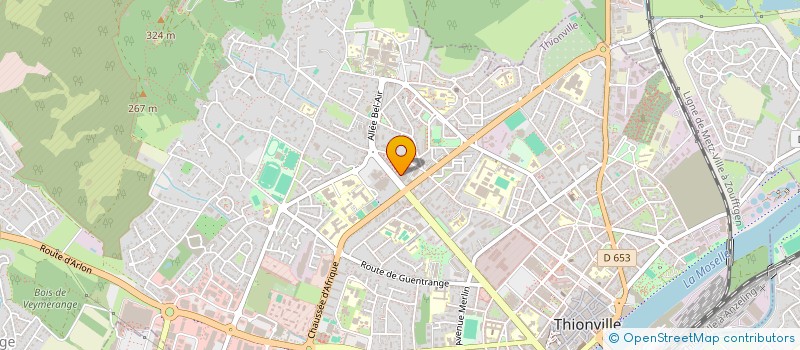 localisation de l'entreprise MADAME JULIE SCHUMACHER  THIONVILLE