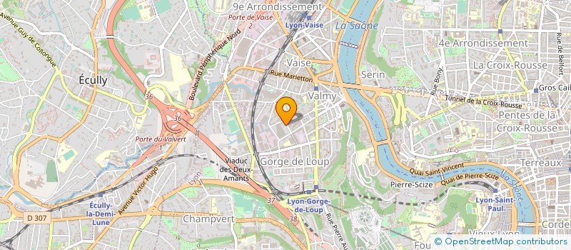 localisation de l'entreprise MADAME JULIE SCHUPP  LYON