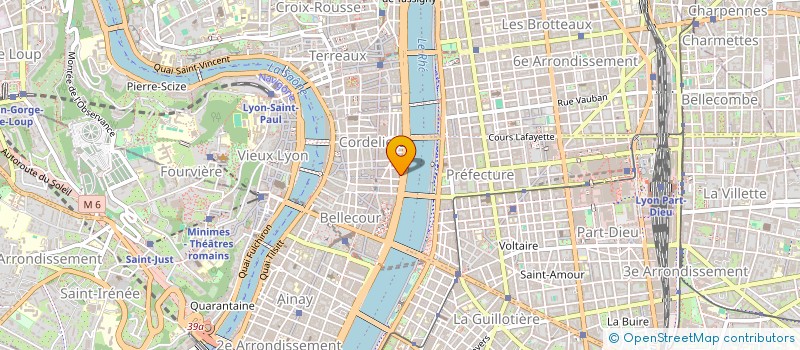 localisation de l'entreprise MADAME JULIE SONIA JACKIE LEVEAU  LYON