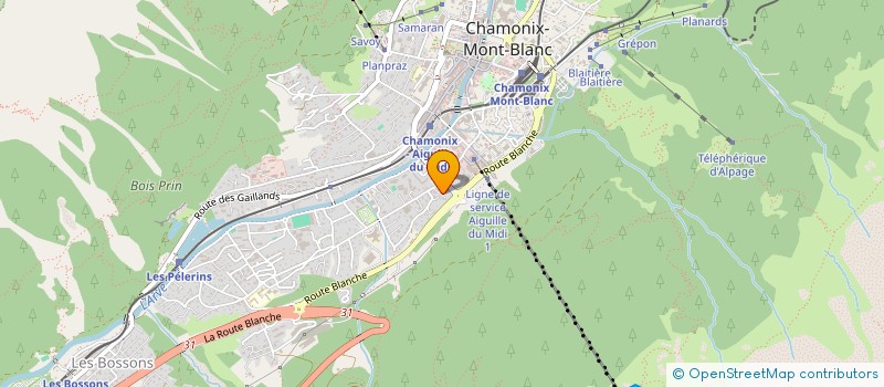 localisation de l'entreprise MADAME JULIE SUZANNE ROGERS  CHAMONIX-MONT-BLANC