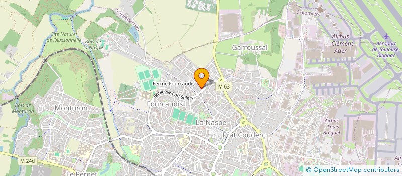 localisation de l'entreprise MADAME JULIE TANGUY à COLOMIERS