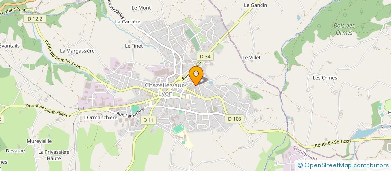 localisation de l'entreprise MADAME JULIE TOINON à CHAZELLES-SUR-LYON