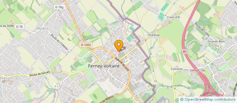 localisation de l'entreprise MADAME JULIE TROUDE à FERNEY-VOLTAIRE
