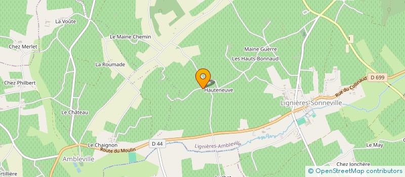localisation de l'entreprise MADAME JULIENNE ARPIN à LIGNIERES-AMBLEVILLE