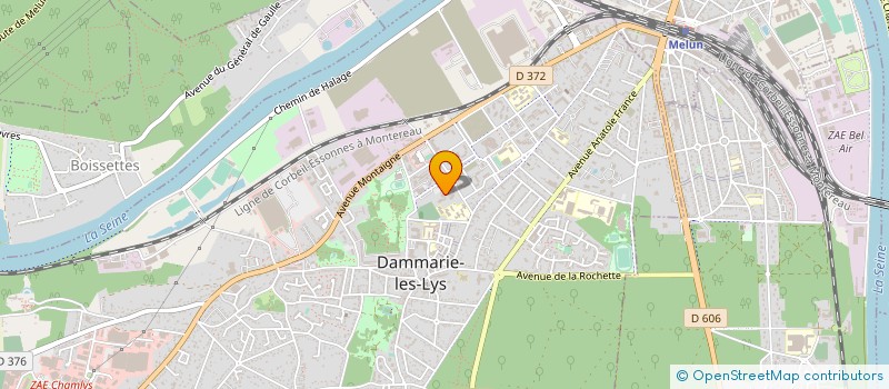 localisation de l'entreprise MADAME JULIETTE BECHET à DAMMARIE-LES-LYS