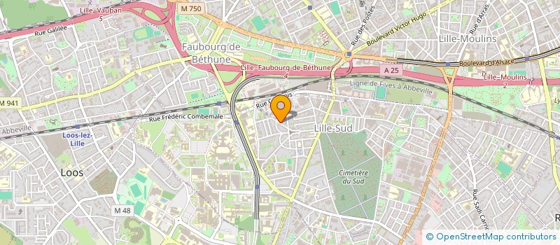 localisation de l'entreprise MADAME JULIETTE BERCHE à LILLE