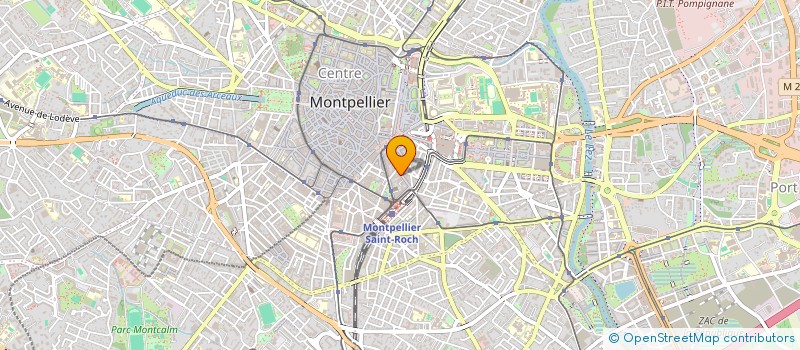 localisation de l'entreprise MADAME JULIETTE BRINGUIER à MONTPELLIER