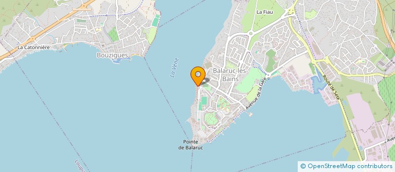 localisation de l'entreprise MADAME JULIETTE DENIS  BALARUC-LES-BAINS