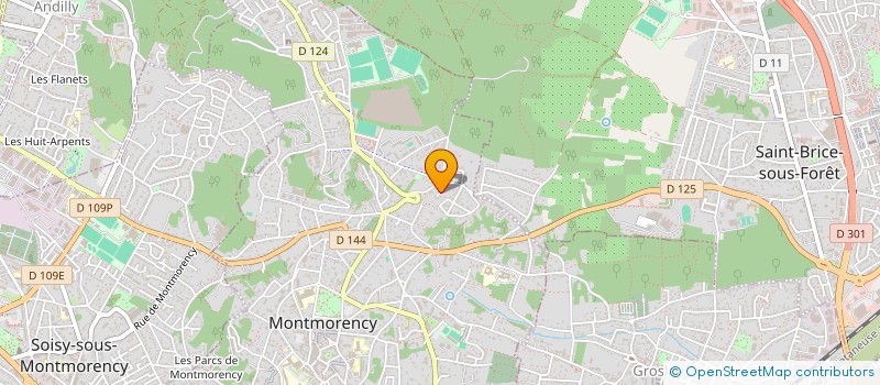 localisation de l'entreprise MADAME JULIETTE FILALI  MONTMORENCY