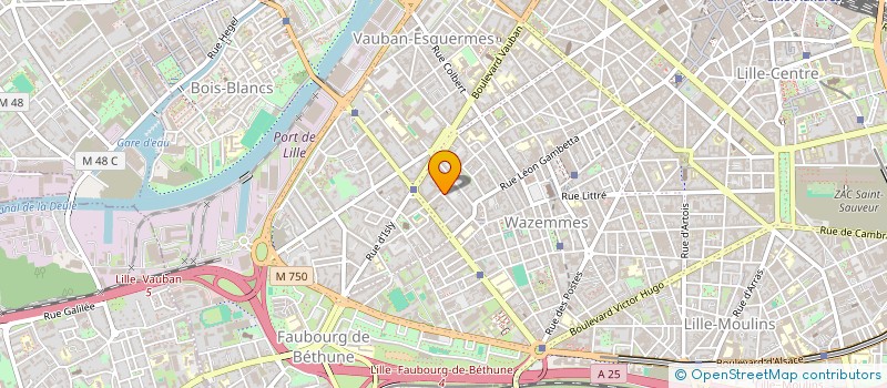 localisation de l'entreprise MADAME JULIETTE LACROIX à LILLE