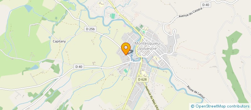 localisation de l'entreprise MADAME JULIETTE VIS  MONTESQUIEU-VOLVESTRE