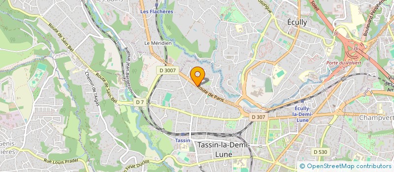 localisation de l'entreprise MADAME JULIETTE VUYLSTEKE  TASSIN-LA-DEMI-LUNE