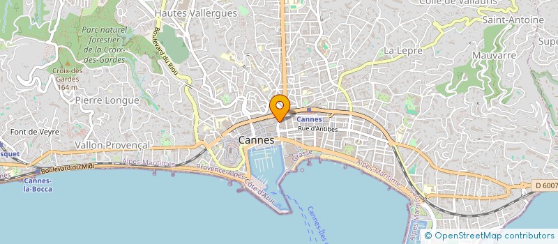 localisation de l'entreprise MADAME JULIJA BLOHINA à CANNES