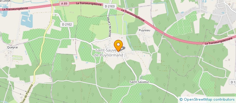 localisation de l'entreprise MADAME JULLIE FLORES  SAINT-SAUVEUR-DE-PUYNORMAND