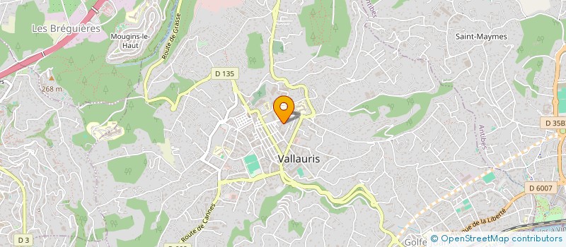 localisation de l'entreprise MADAME JURGA DAUKANTAITE  VALLAURIS