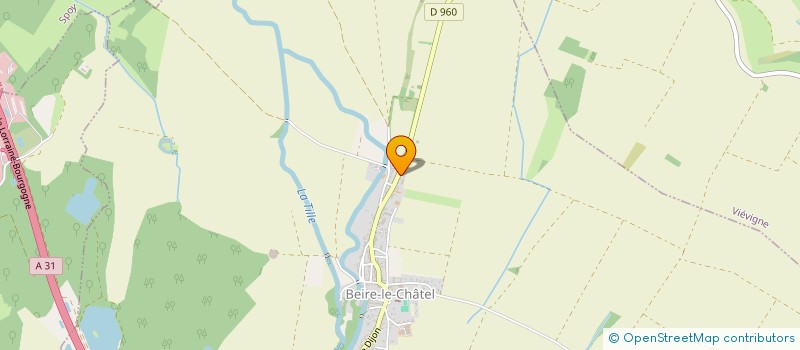 localisation de l'entreprise MADAME JURGITA ANDZEIKEVICIUTE  ARCEAU