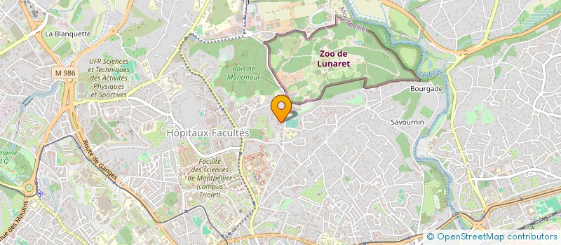 localisation de l'entreprise MADAME JUSTINE GLUCK  MONTPELLIER