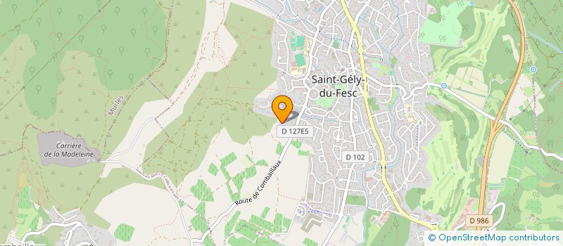 localisation de l'entreprise MADAME JUSTINE SAVY  SAINT-GELY-DU-FESC