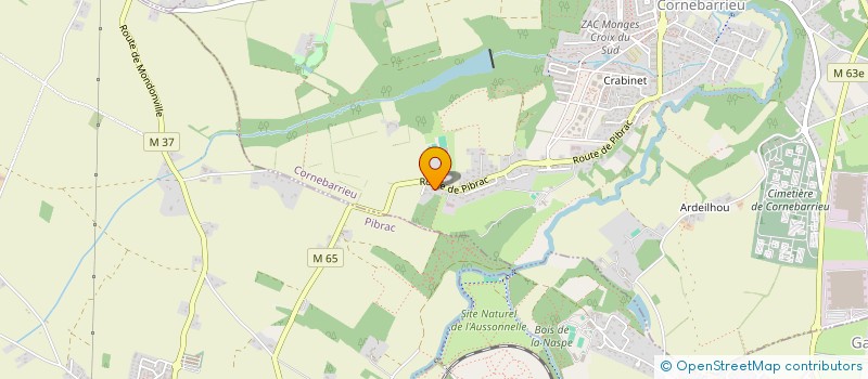 localisation de l'entreprise MADAME JUSTINE SYLVESTRE  CORNEBARRIEU