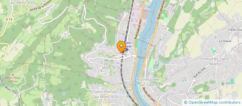 localisation de l'entreprise MADAME KAREEN MICHEZ  COUZON-AU-MONT-D OR