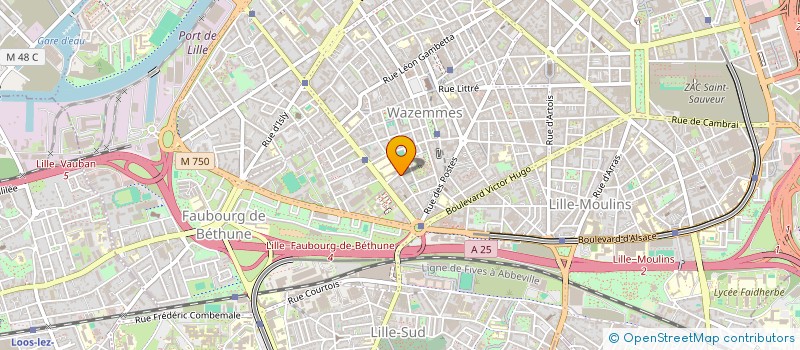 localisation de l'entreprise MADAME KAREN AKO à LILLE