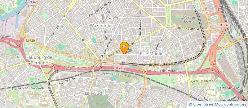 localisation de l'entreprise MADAME KARIMA BAHRI à LILLE
