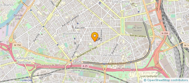 localisation de l'entreprise MADAME KARIMA BENSAIBI à LILLE