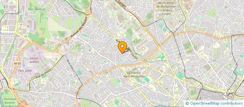 localisation de l'entreprise MADAME KARIMA OURIF à MONTPELLIER